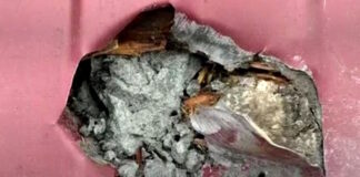 meteoritis 1200x630.jpg