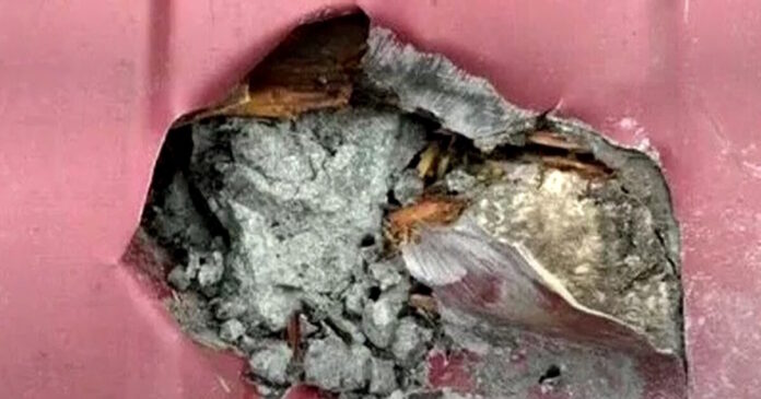 meteoritis 1200x630.jpg meteoritis 1200x630.jpg