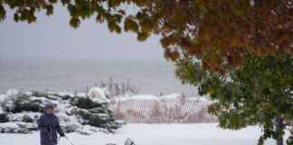 michigan lake associated 1200x630.jpg