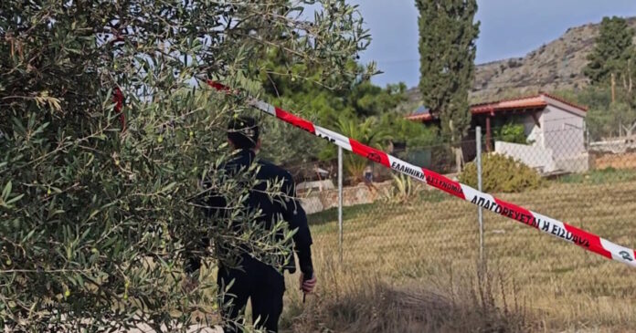 nea peramos 1200x630.jpg