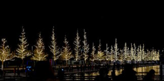 niarxos 1200x630.jpg