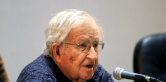 noam chomsky ape 1200x630.jpg