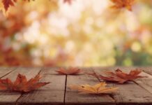 Τα 4 ζώδια που θα περάσουν τον καλύτερο Νοέμβριο noemvrios.jpg