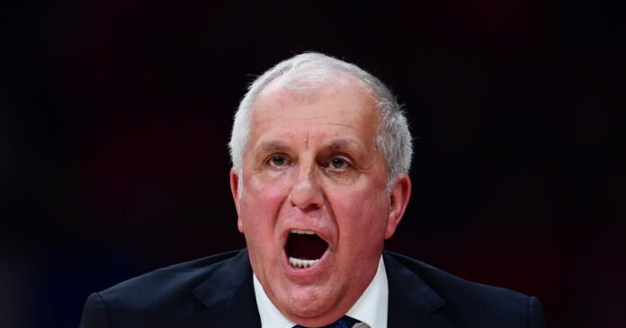 obradovic 4 1200x630.jpg