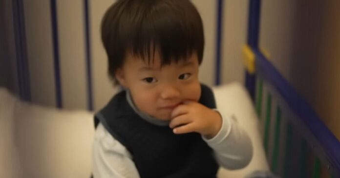 oliver chu 1200x630.jpg