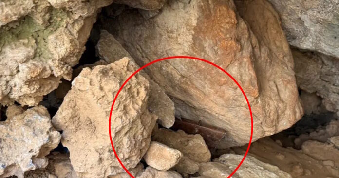 opla vorizia 1 1200x630.jpg