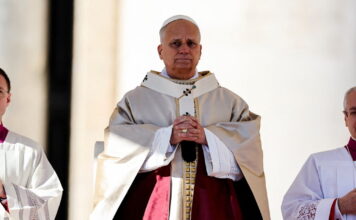 papas leon 2 1200x630.jpg