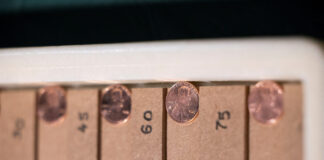 penny reuters 1200x630.jpg