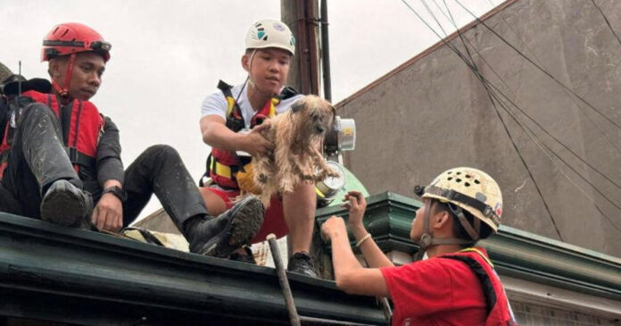 phillipines reuters 1 1200x630.jpg