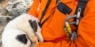 pilio koutavia 30112025 1200x630.jpg