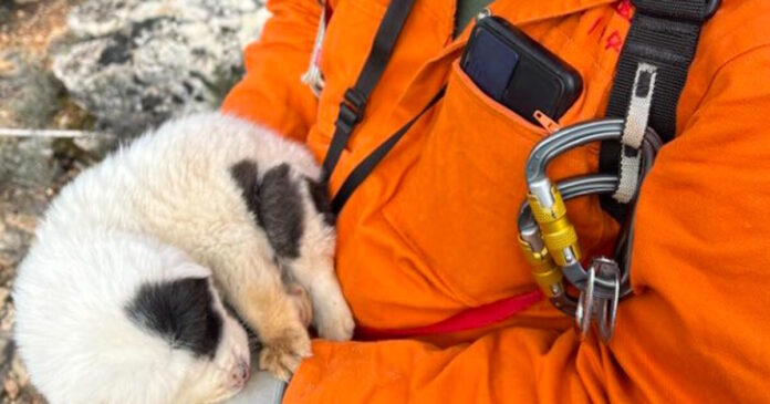 pilio koutavia 30112025 1200x630.jpg