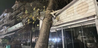 platanos igoumenitsa 1200x630.jpg