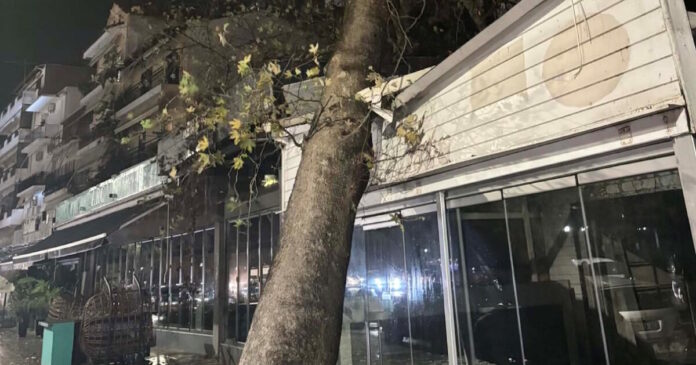 platanos igoumenitsa 1200x630.jpg platanos igoumenitsa 1200x630.jpg