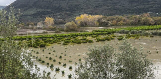 plimmires ipeiros eurok 1200x630.jpg