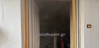 pyrkagia003 lamia 1200x630.jpg