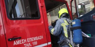 pyrosbestis 1 1200x630.jpg