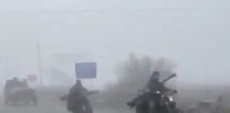 rosoi stratiotes 1 1200x630.jpg