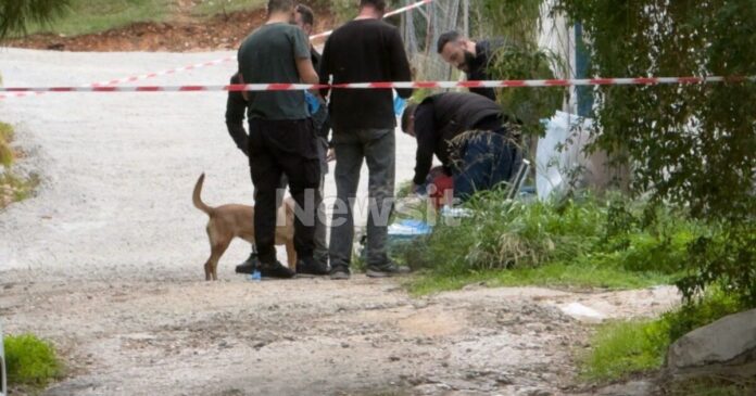 salamina3 1200x675 1 1200x630.jpg