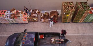 sanantonio trofima 1 1200x630.jpg