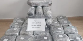 screenshot 118.webp.webp