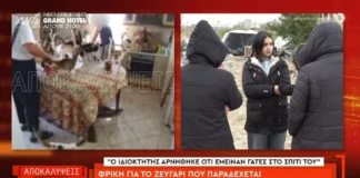 screenshot 99 1.webp.webp