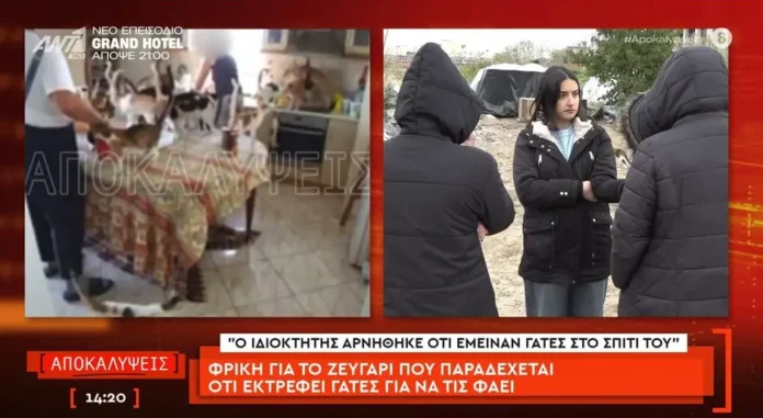 screenshot 99 1.webp.webp