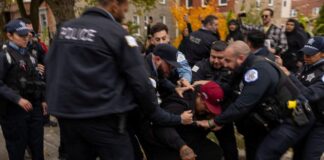 sikago metanastes r 1200x630.jpg