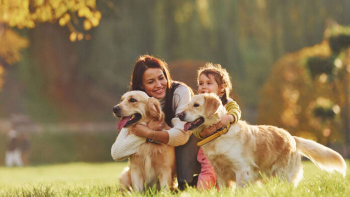 skilos.jpg skilos.jpg