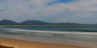 thalassa 1200x630.jpg