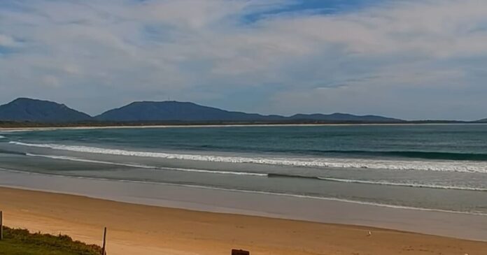 thalassa 1200x630.jpg