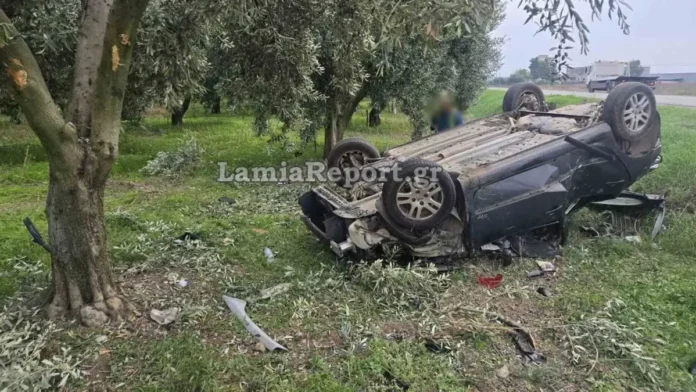 thanatephoro trochaio.webp.webp