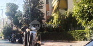 troheo halandri 768x432 1 1200x630.jpg