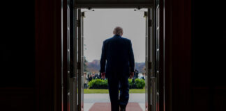 trump 4 1200x630.jpg