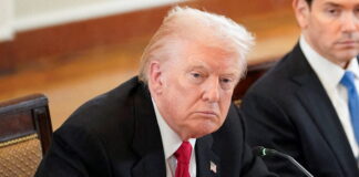 trump 5 1 1200x630.jpg