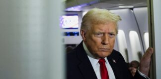 trump 8 1200x630.jpg