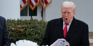 trump galopopoula reuters 1200x630.jpg