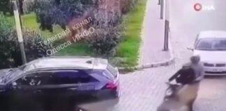 turkey x 1200x630.jpg