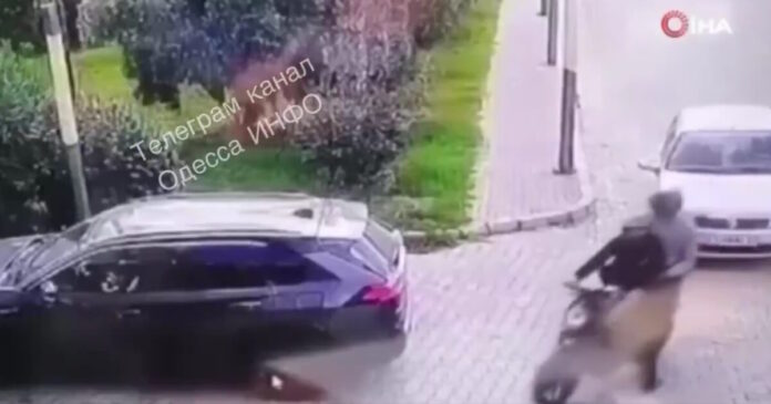 turkey x 1200x630.jpg