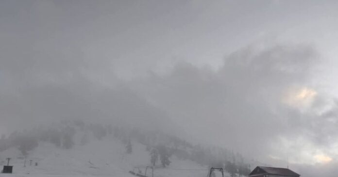 vasilitsa 1 1200x630.jpg