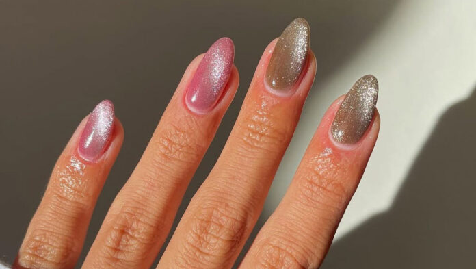 velvet.jpg velvet.jpg