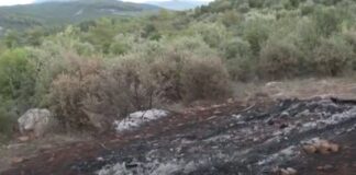 voiwtia dolofonia 1200x630.jpg