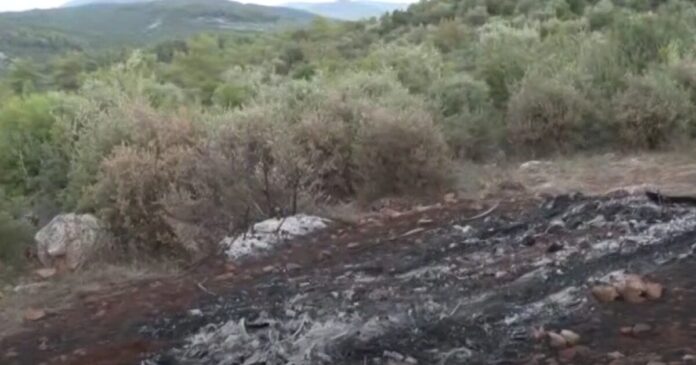 voiwtia dolofonia 1200x630.jpg