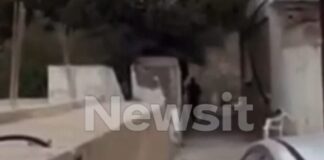 vorizia 15 1 1200x630.jpg