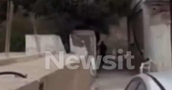 vorizia 15 1 1200x630.jpg