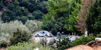 vorizia 3 1200x630.jpg