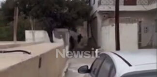 vorizia pyrov 1200x630.jpg