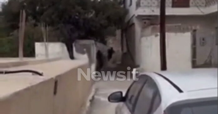 vorizia pyrov 1200x630.jpg