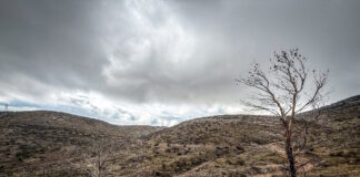 vouno 10112025 1200x630.jpg