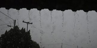 vroxi 5 1200x630.jpg