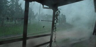 vroxi 8 1200x630.jpg